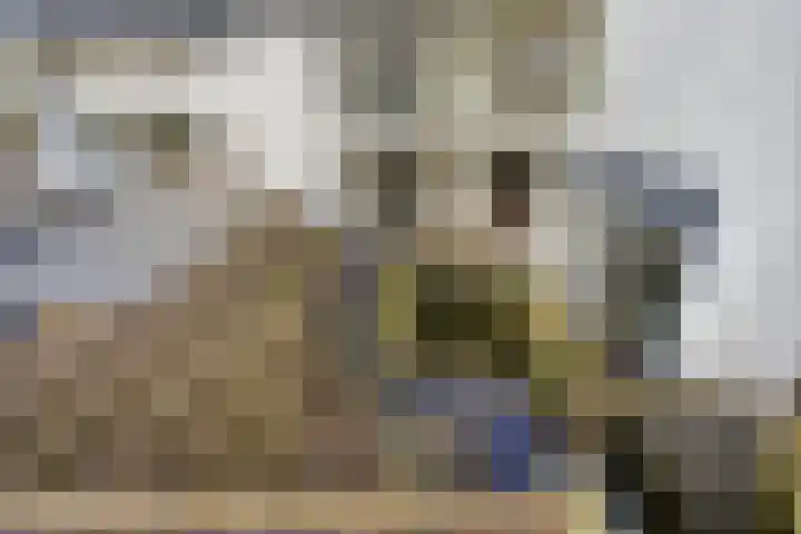 Thorbeckestraat 3 Didam thumbnail 29