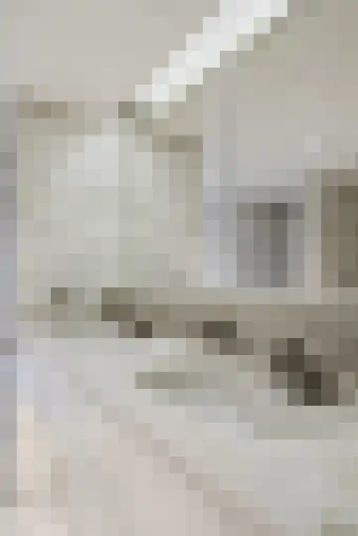 Thorbeckestraat 3 Didam thumbnail 44