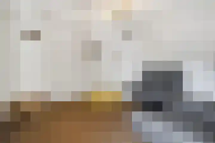 Thorbeckestraat 3 Didam thumbnail 45