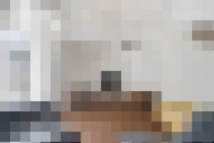 Thorbeckestraat 3 Didam thumbnail 46