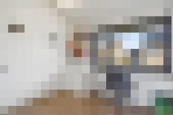Thorbeckestraat 3 Didam thumbnail 48