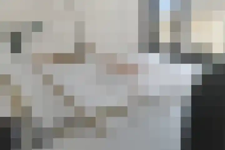 Thorbeckestraat 3 Didam thumbnail 52