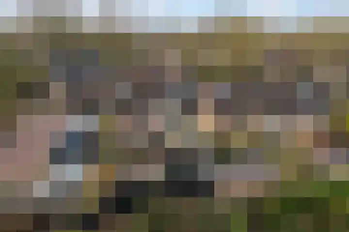 Thorbeckestraat 4 Epe thumbnail 22
