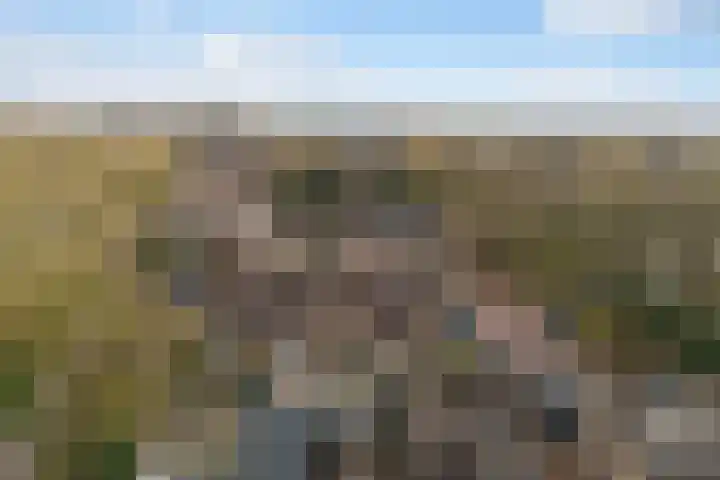 Thorbeckestraat 4 Epe thumbnail 24