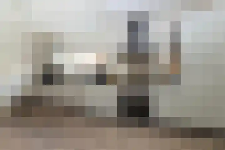 Thorbeckestraat 4 Zelhem thumbnail 12