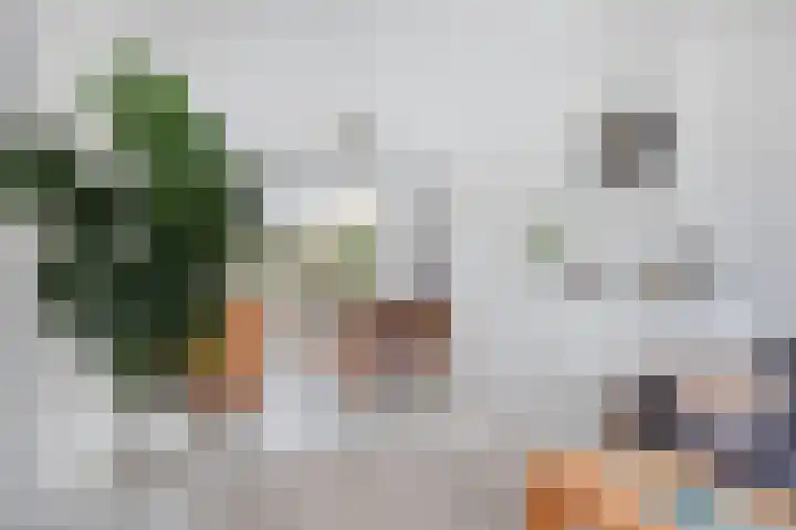 Thorbeckestraat 54 Oss thumbnail 10
