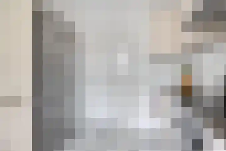 Thorbeckestraat 54 Oss thumbnail 14