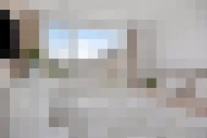 Thorbeckestraat 54 Oss thumbnail 19