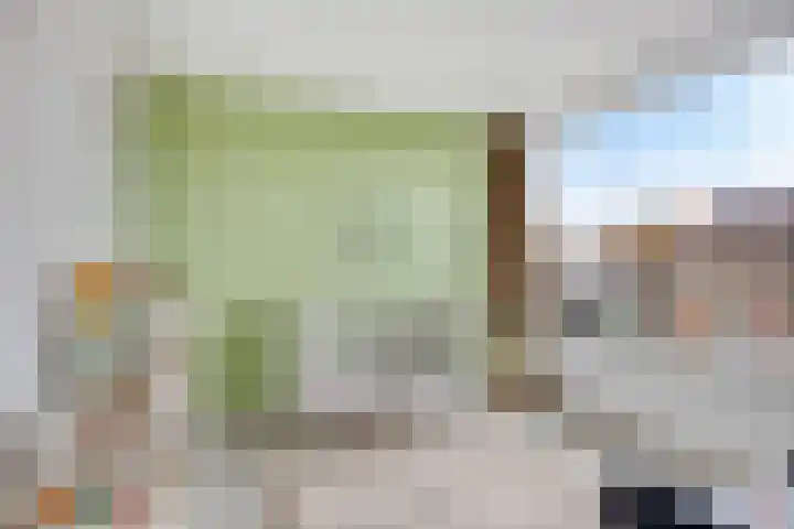 Thorbeckestraat 54 Oss thumbnail 23
