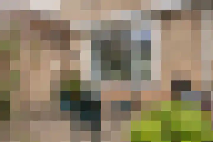 Thorbeckestraat 54 Oss thumbnail 33