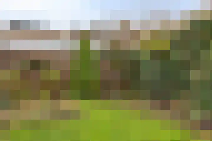 Thorbeckestraat 54 Oss thumbnail 34