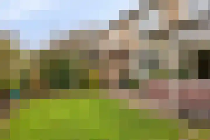 Thorbeckestraat 54 Oss thumbnail 35