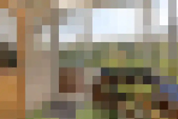 Thorbeckestraat 54 Oss thumbnail 37