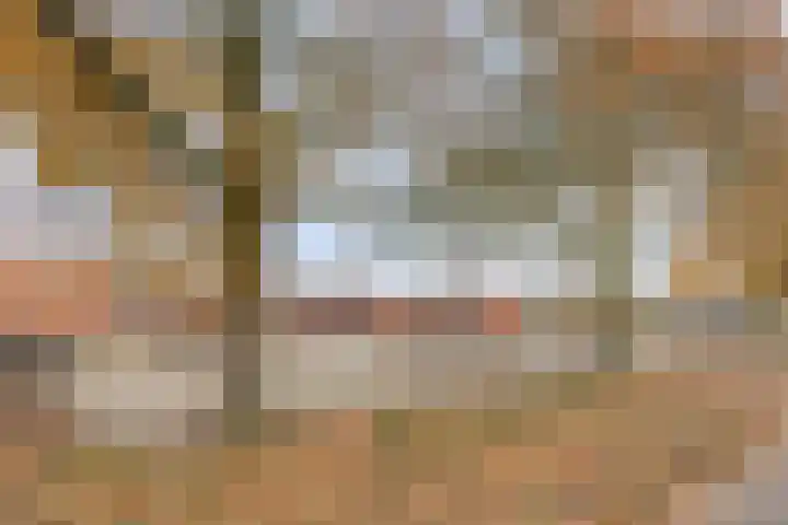 Thorbeckestraat 54 Oss thumbnail 43