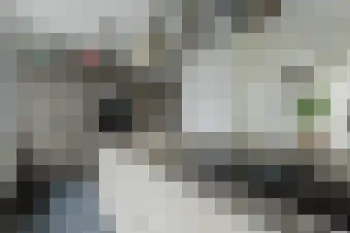 Thornerstraat 9 Sprundel thumbnail 13
