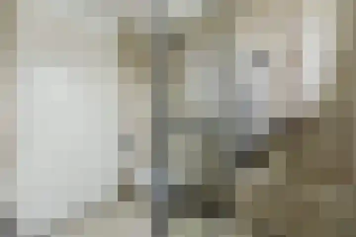 Thornerstraat 9 Sprundel thumbnail 18