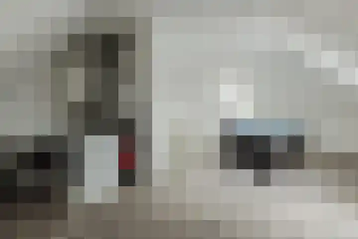 Thornerstraat 9 Sprundel thumbnail 34