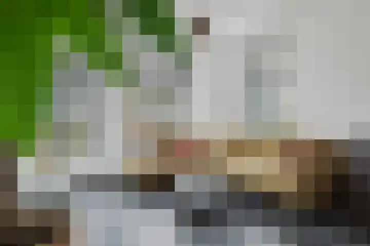 Thornerstraat 9 Sprundel thumbnail 7
