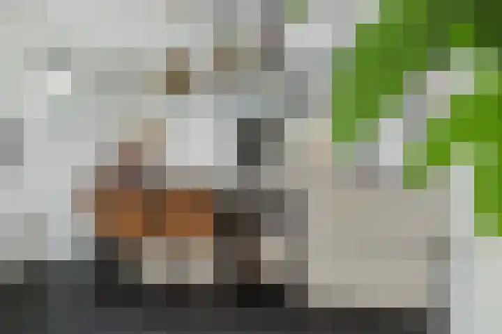 Thornerstraat 9 Sprundel thumbnail 9