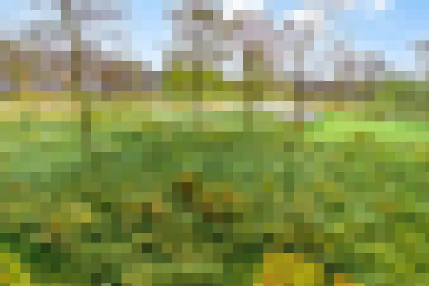 Thorstraat 13 Almere thumbnail 39