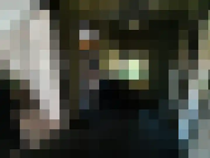 Thull 32 Schinnen thumbnail 28