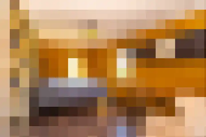 Thull 32 Schinnen thumbnail 30