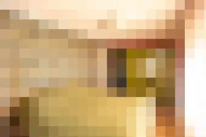 Thull 32 Schinnen thumbnail 32