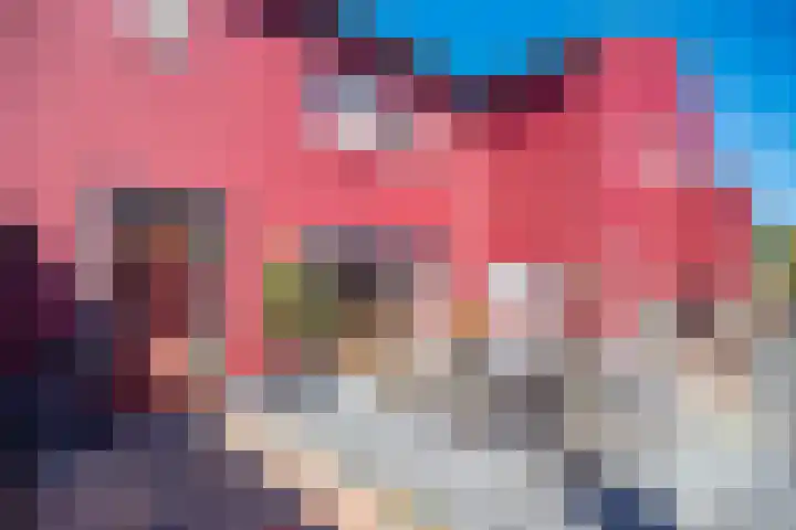 Thull 32 Schinnen thumbnail 5