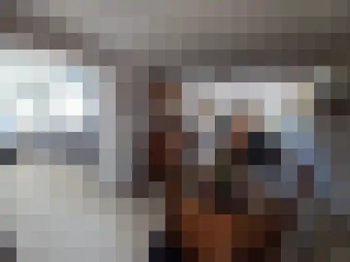 Thull 32 Schinnen thumbnail 50