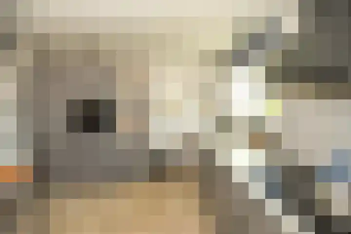 Thull 32 Schinnen thumbnail 51