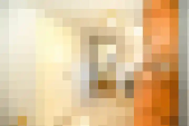 Thull 32 Schinnen thumbnail 55