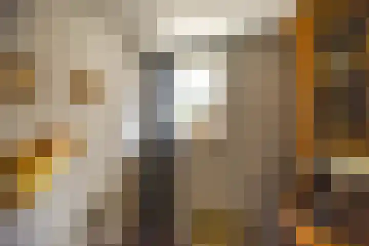 Thull 32 Schinnen thumbnail 57