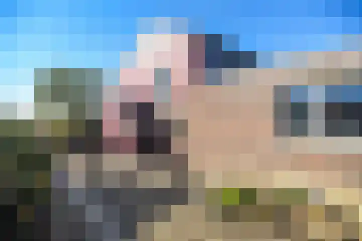 Thull 32 Schinnen thumbnail 61