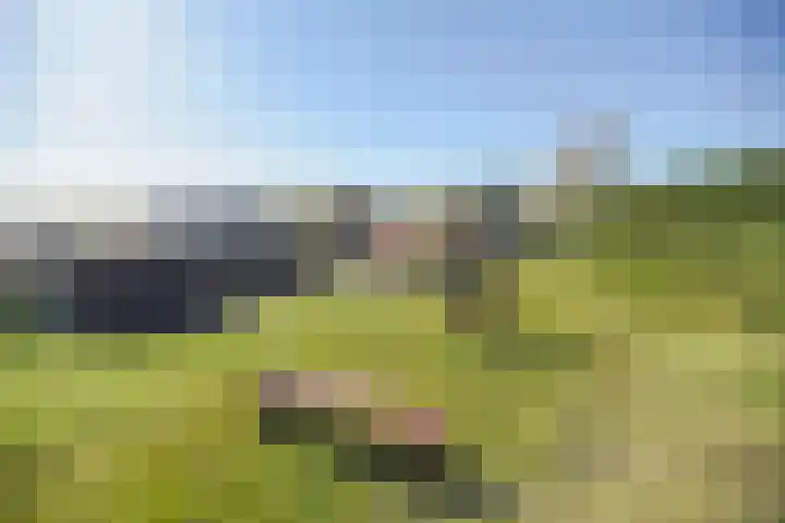 Thull 32 Schinnen thumbnail 63