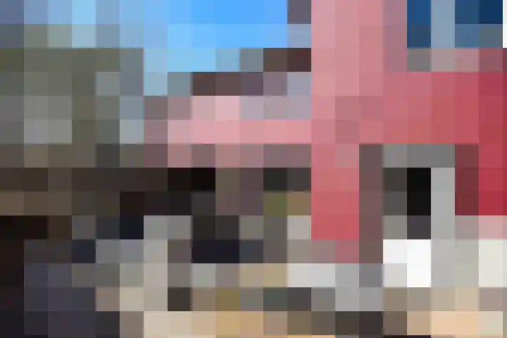 Thull 32 Schinnen thumbnail 65