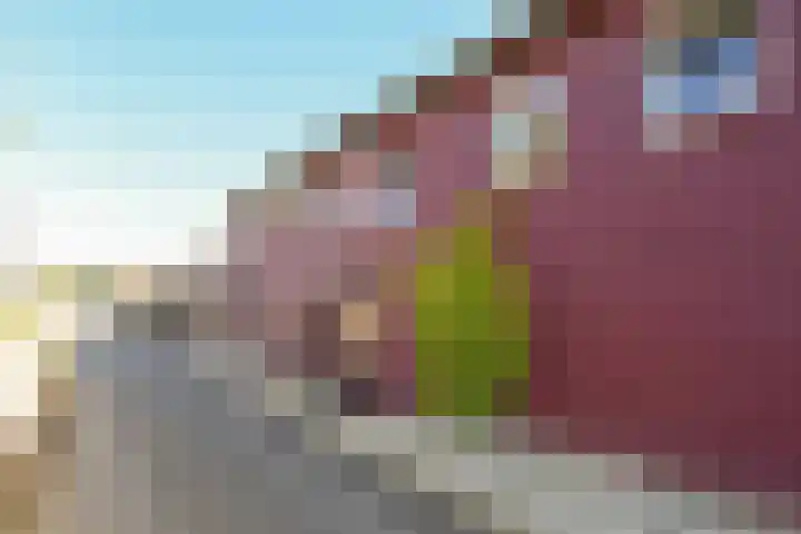 Thull 32 Schinnen thumbnail 66