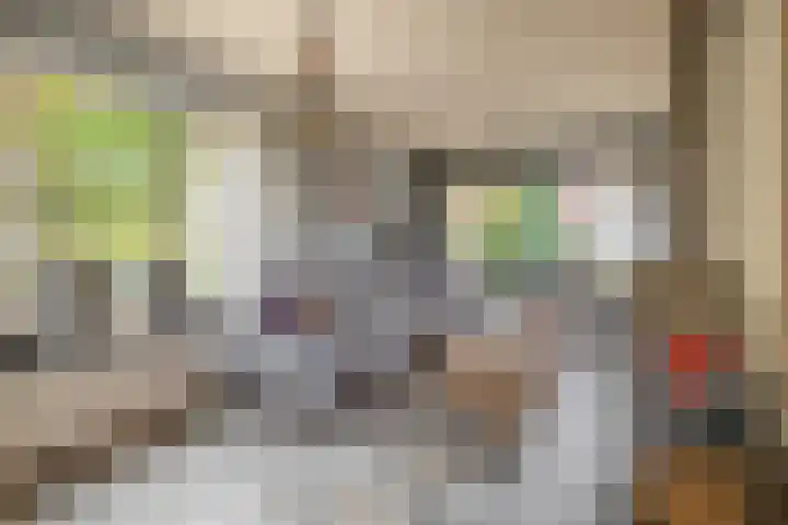 Thuserhof 22 Roermond thumbnail 11