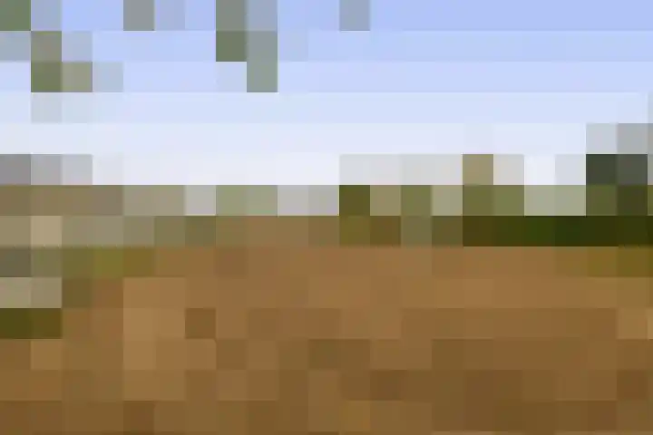 Thuserhof 22 Roermond thumbnail 33