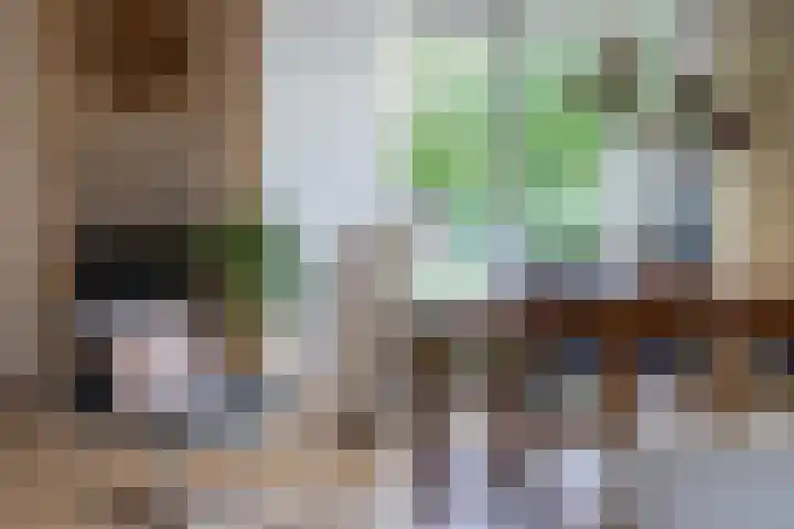 Tialling van Eysingawei 2 Marsum thumbnail 16