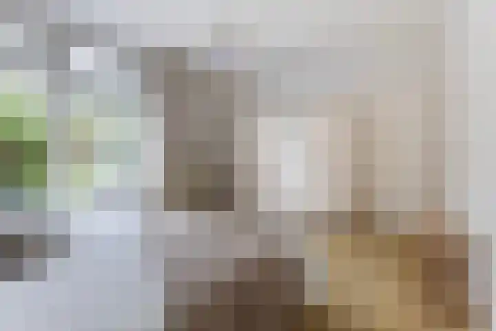 Tialling van Eysingawei 2 Marsum thumbnail 26
