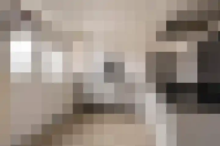 Tialling van Eysingawei 2 Marsum thumbnail 32