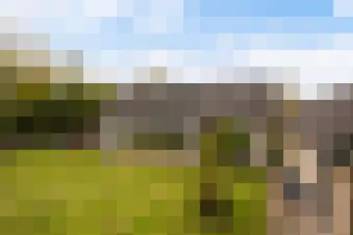 Tialling van Eysingawei 2 Marsum thumbnail 39