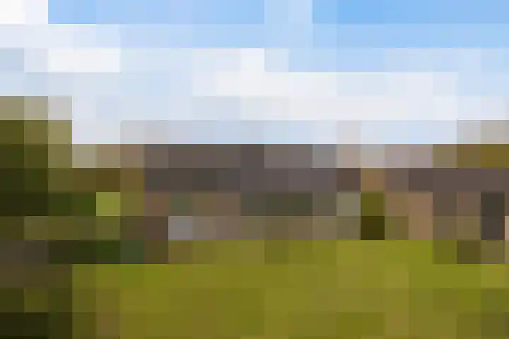 Tialling van Eysingawei 2 Marsum thumbnail 4