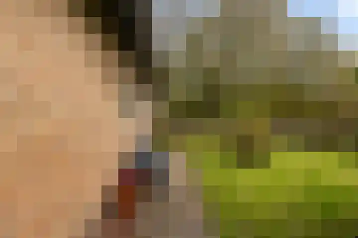 Tialling van Eysingawei 2 Marsum thumbnail 41