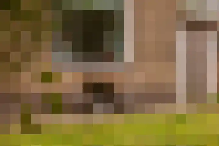Tialling van Eysingawei 2 Marsum thumbnail 42