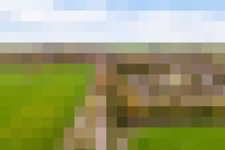 Tialling van Eysingawei 2 Marsum thumbnail 45