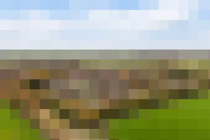 Tialling van Eysingawei 2 Marsum thumbnail 46