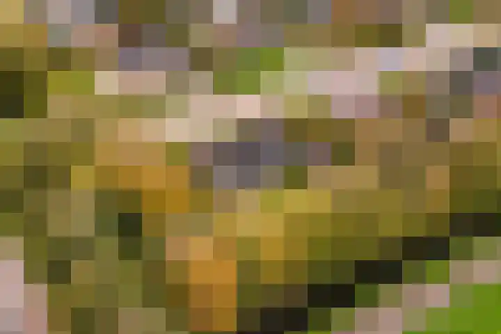 Tialling van Eysingawei 2 Marsum thumbnail 47