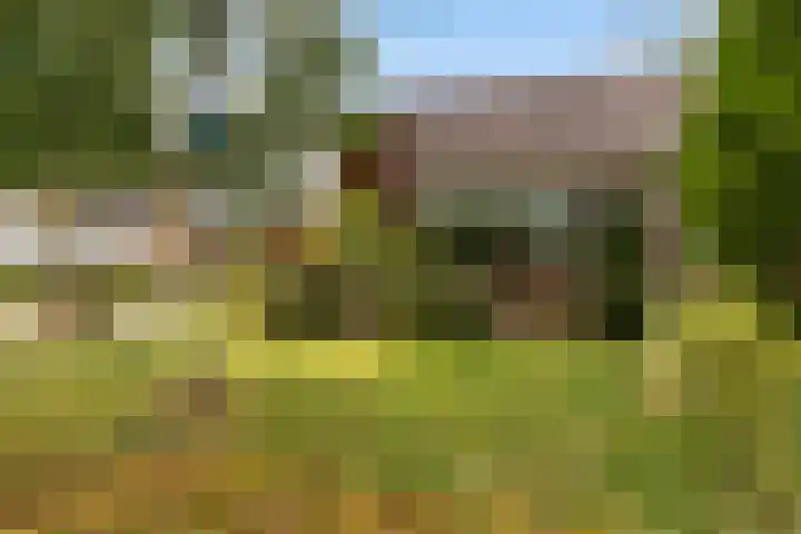 Tialling van Eysingawei 3 Marsum thumbnail 10