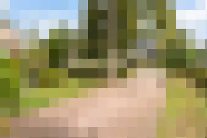 Tialling van Eysingawei 3 Marsum thumbnail 11